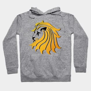 Colourful lion head Hoodie